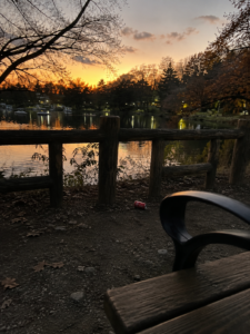 夕暮れの井の頭公園のベンチと空き缶