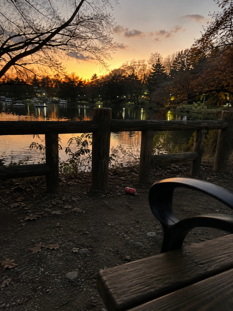 夕暮れの井の頭公園のベンチと空き缶