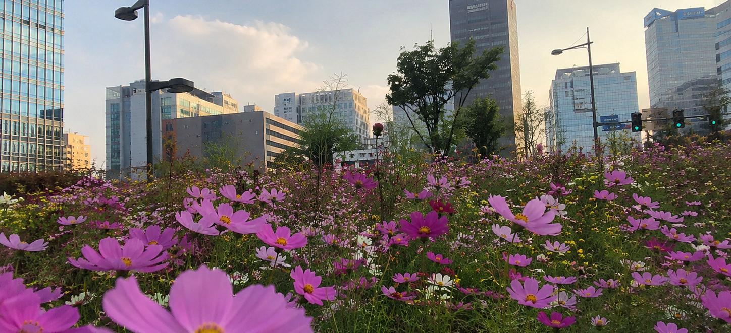 都会の中の花畑