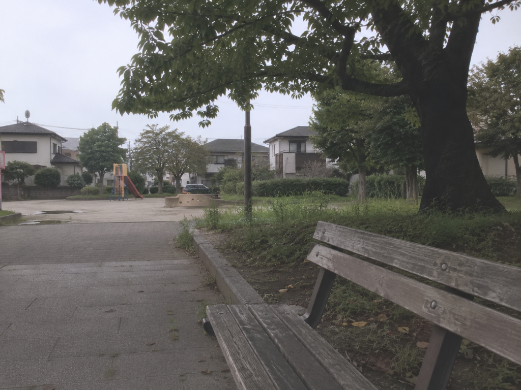昼の公園のベンチ