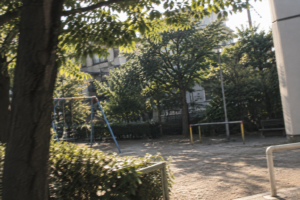 木漏れ日揺れる静かな公園